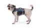 Preview: Ruffwear Web Master Harness Slate Blue Gr. XXS